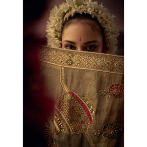 Rajvastra – Heritage Jacquard Saree