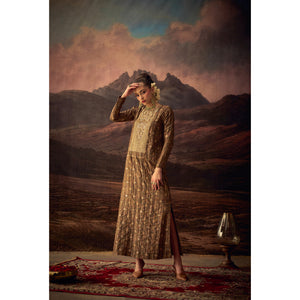 Zarika – Jacquard Silk Embroidered Dress