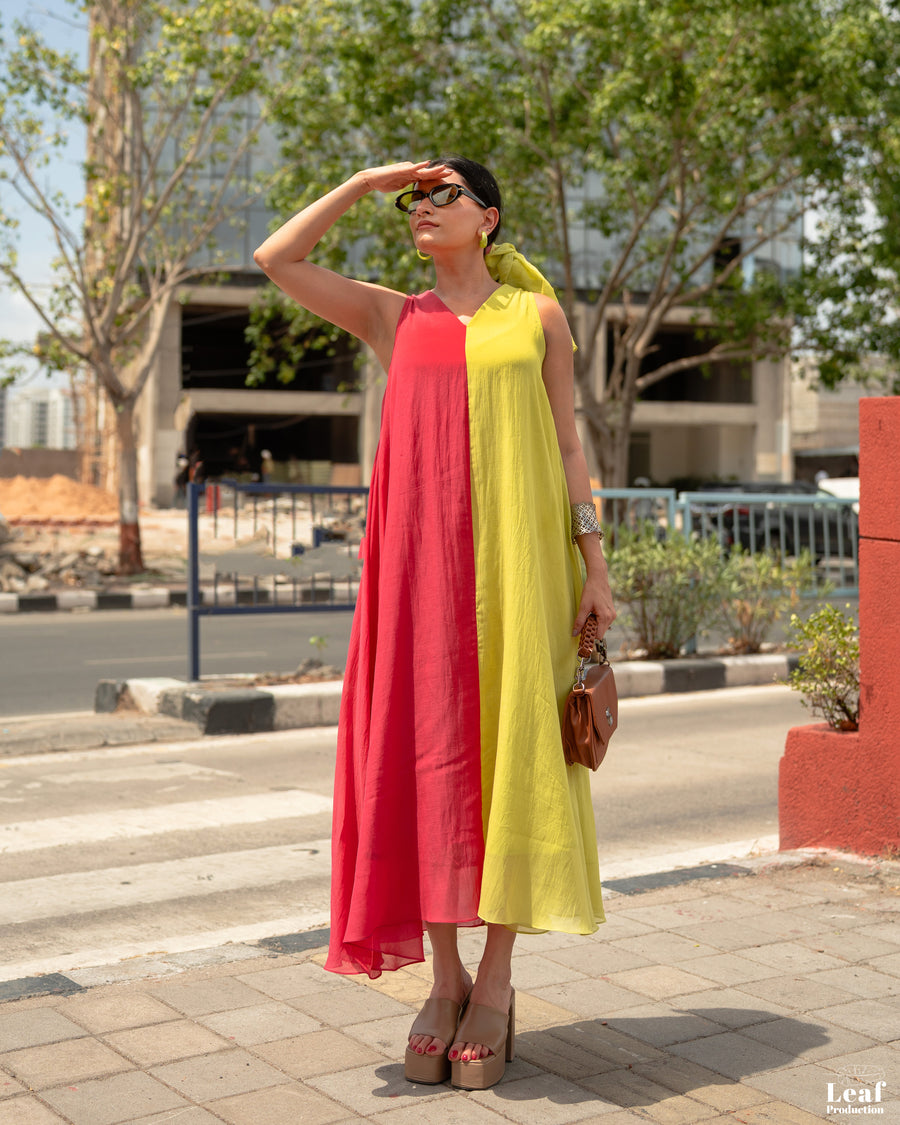 Sunlit Bloom – Pure Mul Chanderi Dress
