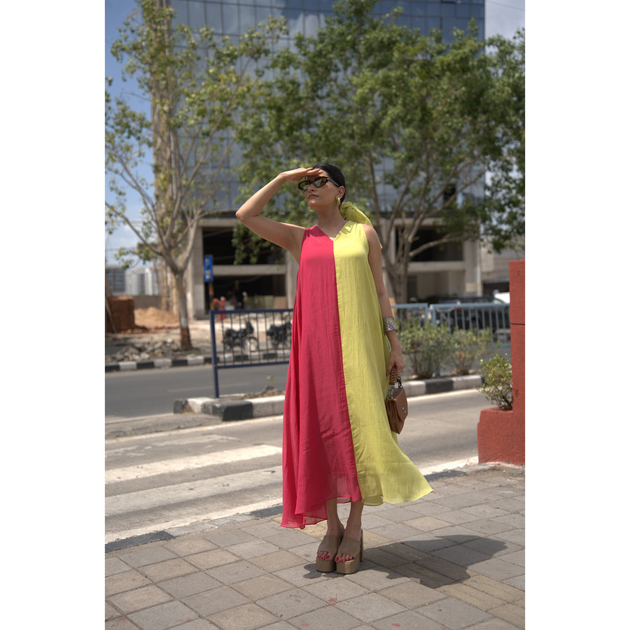 Sunlit Bloom – Pure Mul Chanderi Dress
